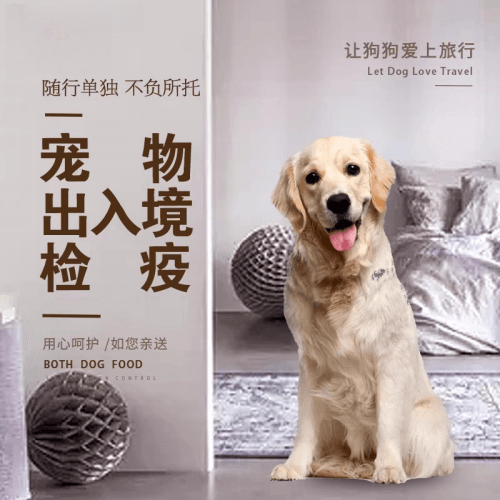惠州市宠物托运到哥伦比亚猫狗宠物入境规定和