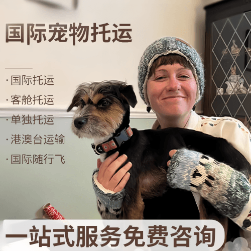 惠州市国际宠物托运到阿根廷宠物入境规定和要