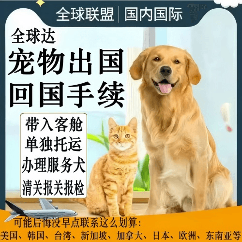 惠州市宠物托运到柬埔寨宠物入境规定和要求
