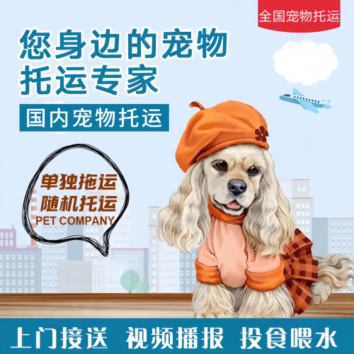 满财惠州市宠物全球达宠物托运作为专业的宠物运输代理机构